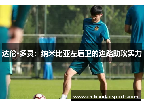 达伦·多灵：纳米比亚左后卫的边路助攻实力