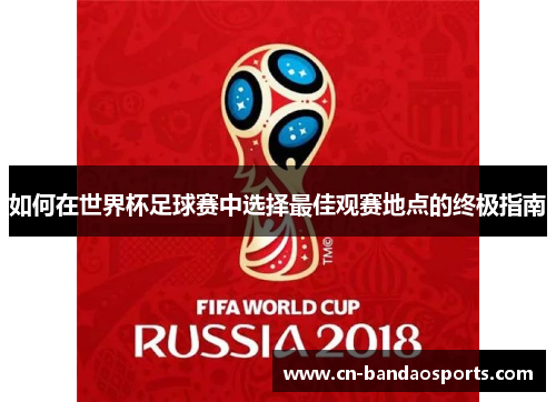 如何在世界杯足球赛中选择最佳观赛地点的终极指南