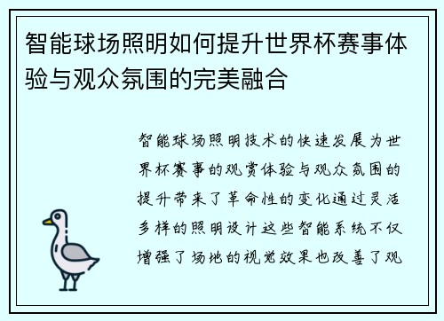 智能球场照明如何提升世界杯赛事体验与观众氛围的完美融合