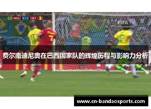 费尔南迪尼奥在巴西国家队的辉煌历程与影响力分析