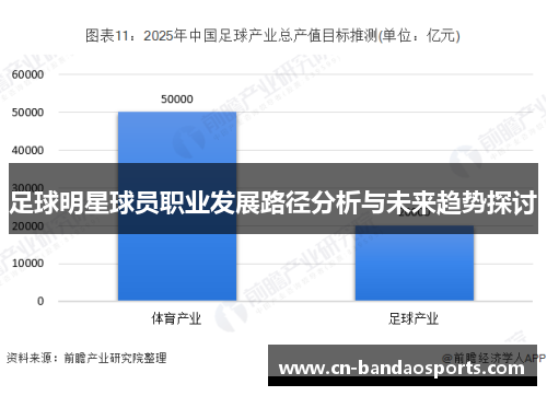 足球明星球员职业发展路径分析与未来趋势探讨