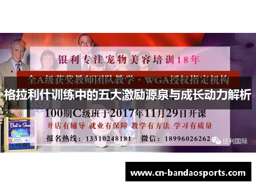 格拉利什训练中的五大激励源泉与成长动力解析