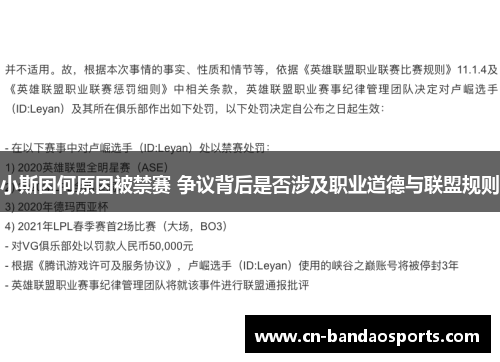 小斯因何原因被禁赛 争议背后是否涉及职业道德与联盟规则