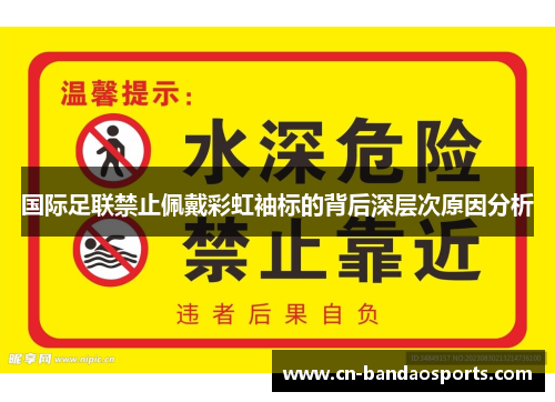 国际足联禁止佩戴彩虹袖标的背后深层次原因分析