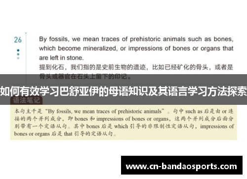 如何有效学习巴舒亚伊的母语知识及其语言学习方法探索